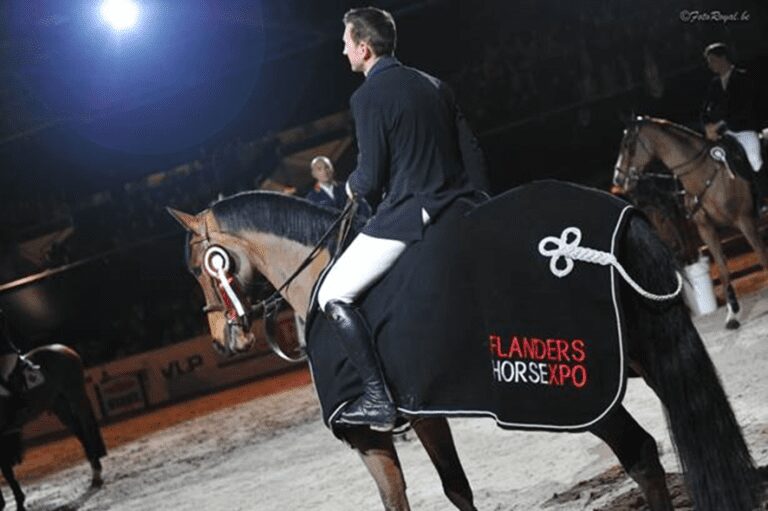 14ª edição da Flanders Horse Expo promete uma mistura de esporte, espetáculo e treinamento