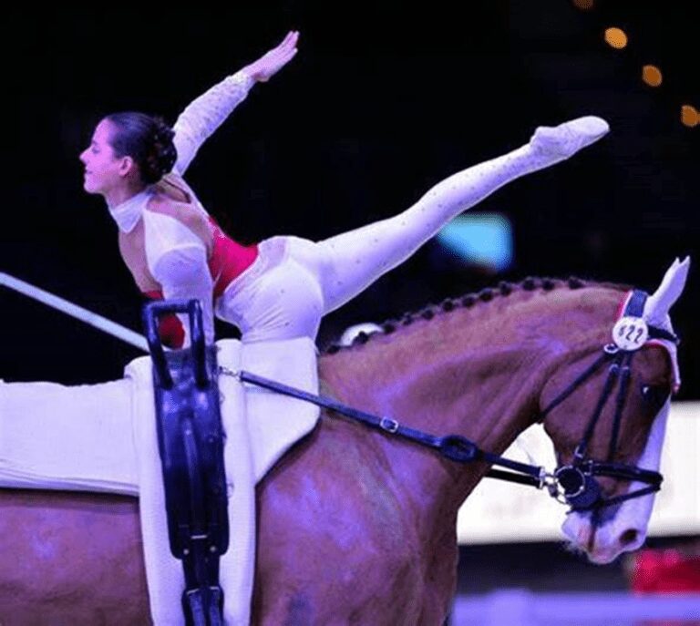 Volteadores do Brasil lideram e garantem boas classificações no ranking do FEI Vaulting World Challenge 2023