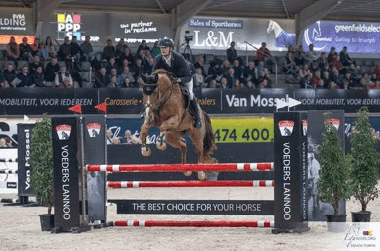 193 garanhões na largada da terceira etapa do Concurso Belga de Garanhões
