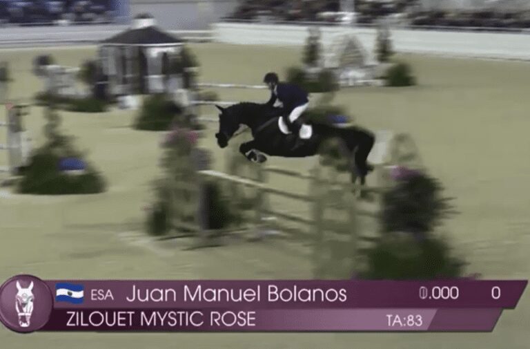Zilouet Mystic Rose termina com sucesso a quarta semana do Wec Ocala Winter Spectacular