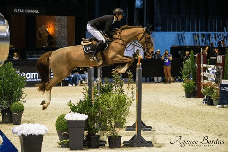 Pieter Devos brilha entre os seis primeiros do duríssimo Grande Prêmio de Bordeaux de 1,60m