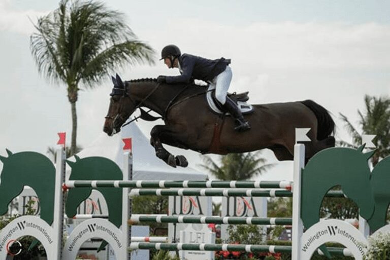 McLain Ward e René Tebbel dividem a Rodada 6 do Desafio WEF