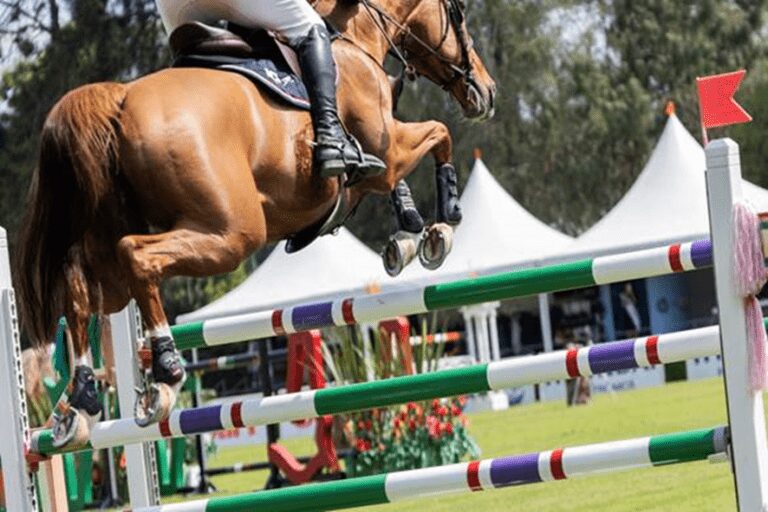 Zangersheide Valeska Z brilha em uma dura classe 5* no México