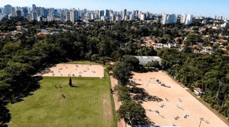 Cerca de 130 cavalos novos largam nessa semana no primeiro nacional de São Paulo