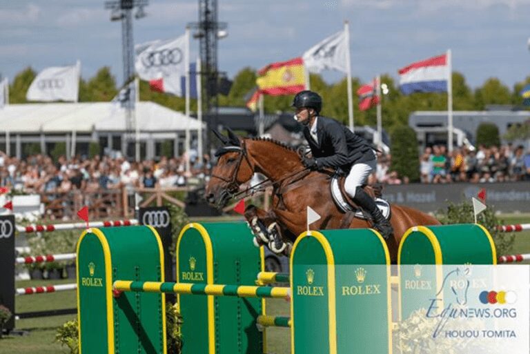 Jordy Van Massenhove vê Verdiamo Z deixar os estábulos