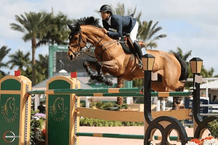 Emilie Conter brilha como Kalinka van ‘t Zorgvliet e Igor vd Wittemoere em CSI5* Grande Prêmio de Wellington
