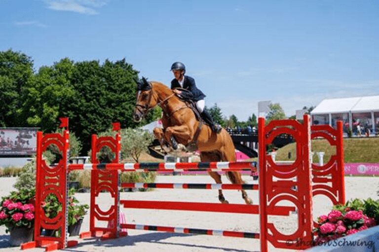 Novo cavalo de 1,60m para Cian O’Connor