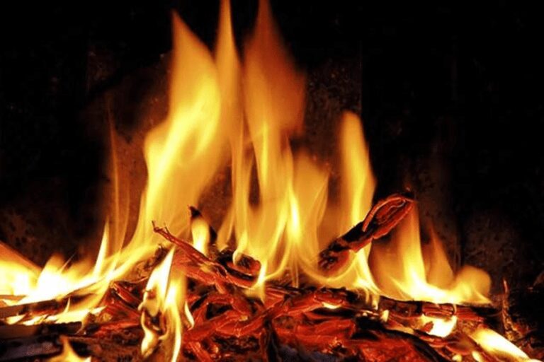 Outro incêndio no Gestüt Lewitz de Paul Schockemöhle