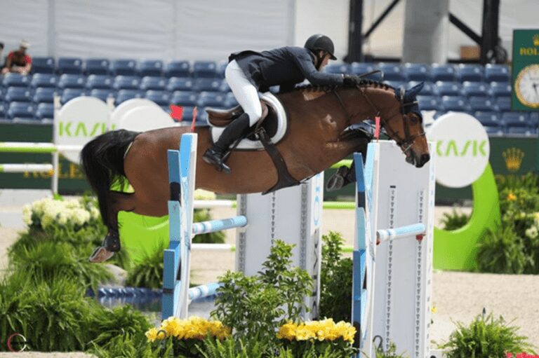 McLain Ward sai na frente no WEF: “Ele é tão pequeno que é basicamente um pônei, mas ele tem o coração de um leão”