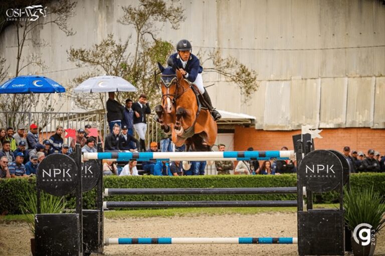 Quatro BHS emplacam no grande prêmio internacional de Curitiba