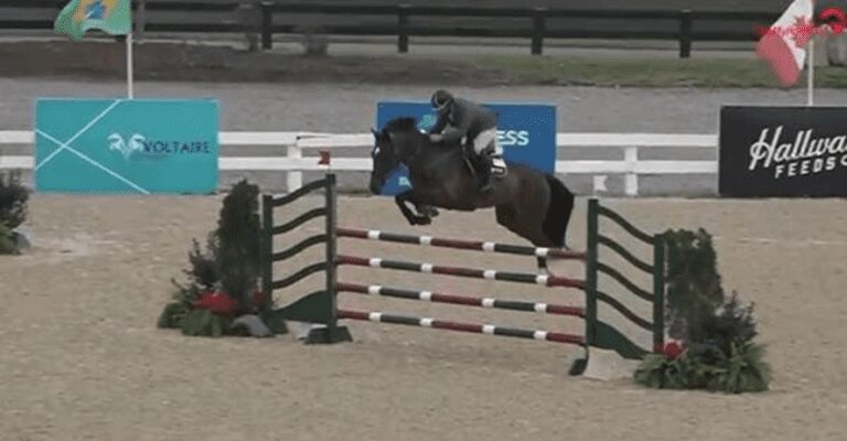 Mylord Mystic Rose em sexto no Kentucky Horse Park