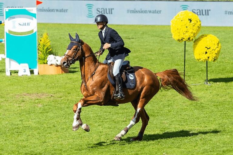 Cavalos e cavaleiros para CSIO5* La Baule
