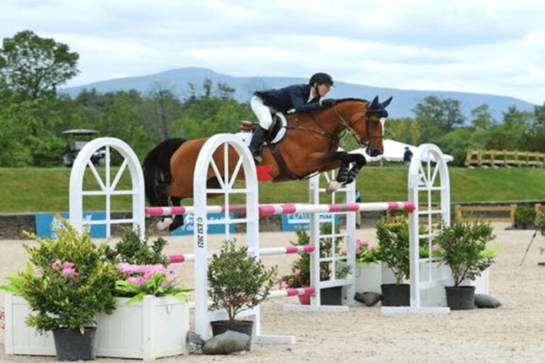 McLain Ward mantém sequência de vitórias em US$ 100.000 HITS Grand Prix