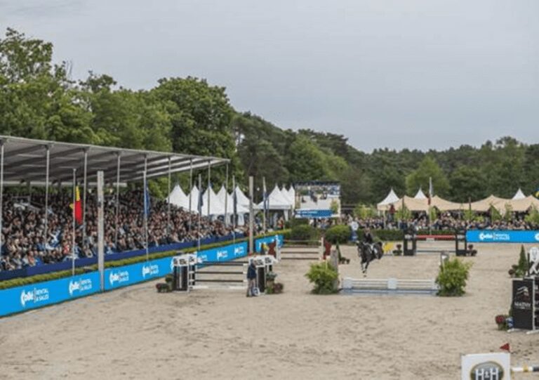 Campeonato mundial de cavalos novos é uma data imperdível na agenda dos criadores – 21 A 24/09