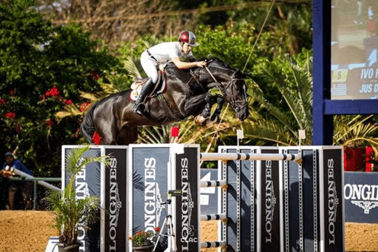 Três cavalos da raça Brasileiro de Hipismo desembarcam na Europa