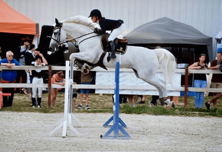 “Dorothy Mystic Rose” em 2º lugar em Thuillies, na Bélgica