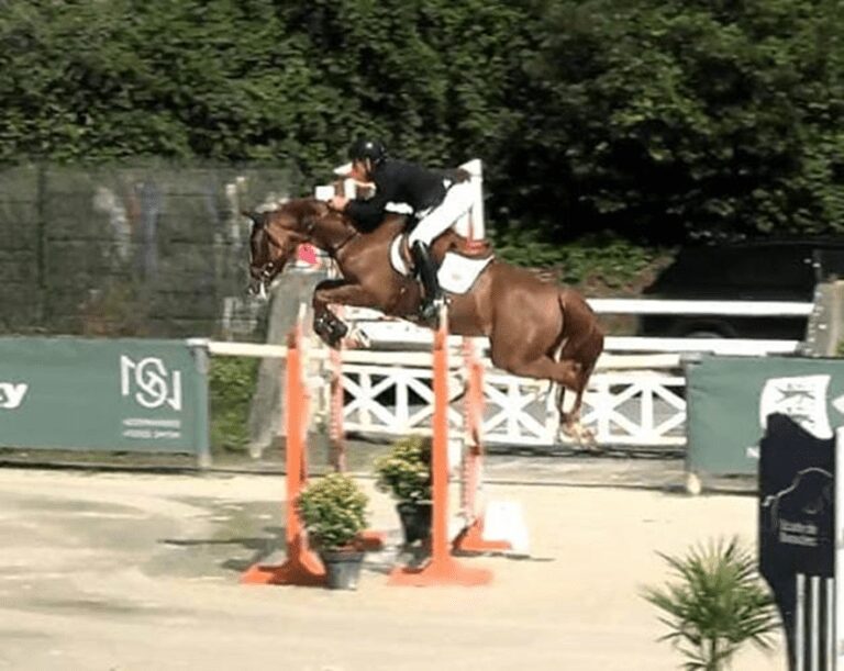 Pedro Veniss e Duelante 3K em ação no Normandie Horse Show