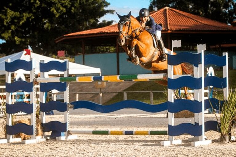 Brasília recebe o Campeonato Brasileiro de Salto Sênior e Master