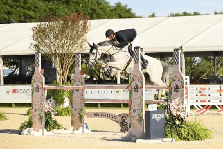 Dittmer Slices and Dices para ganhar a aposta de velocidade 5* no Hampton Classic Horse Show