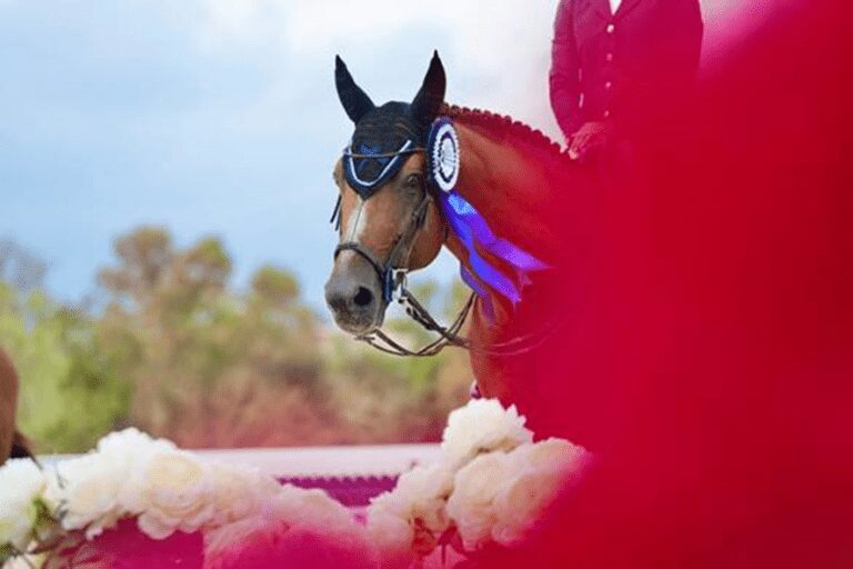 Constant van Paesschen fica em segundo lugar no Grande Prêmio de St Tropez!