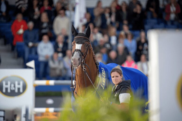 Sanne Melsen, showgroom por trás do astro belga Ermitage Kalone: “Parece que ele sabe que é tudo sobre ele”