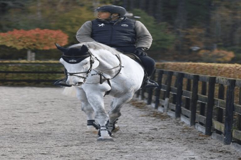 Ludo Philippaerts: “Quero principalmente me divertir!”