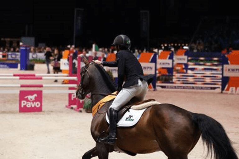 Grand Slam VDL belga certificado pela KWPN