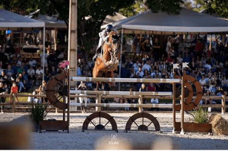 “Chevaux Goldfinger Império Egípcio” é bi-campeão do grande prêmio da Copa JK
