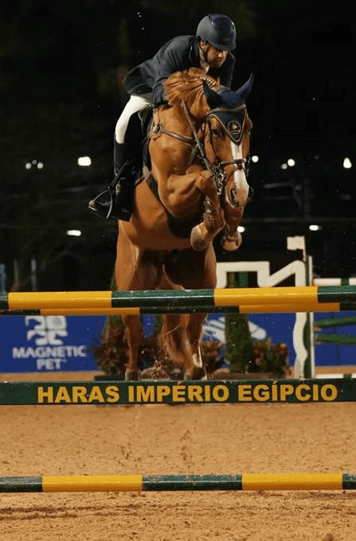 Sucesso dos BHS no circuito de cavalos novos em São Paulo
