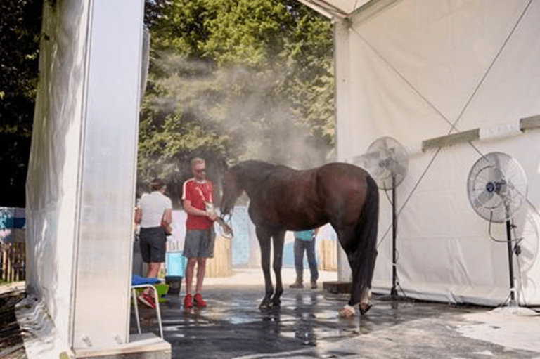 Vencendo o calor em Versalhes: FEI implementa protocolos de mitigação climática