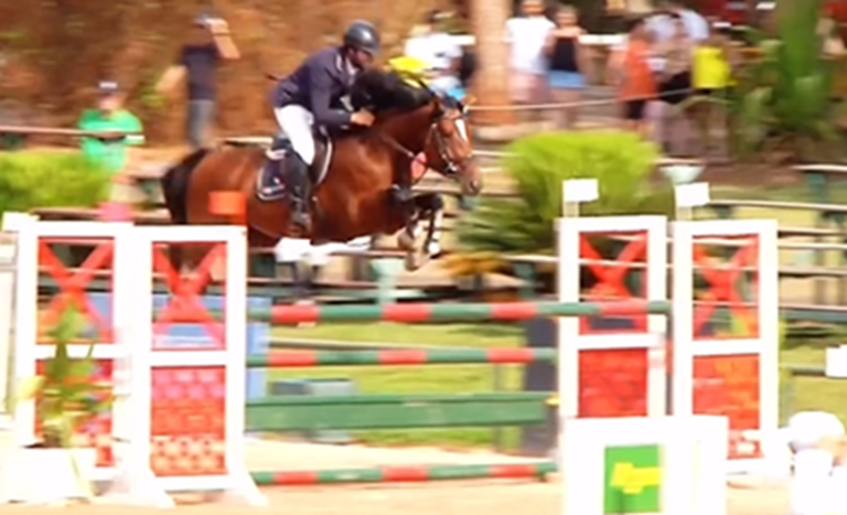 “Onix Tw” no topo do Campeonato Brasileiro de Cavalos Novos 7 anos