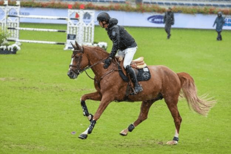 Harrie Smolders anuncia aposentadoria esportiva de Darry Lou!