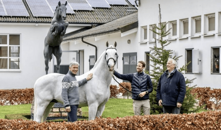 Colestus de Ludger Beerbaum vai para a Equipe Nijhof! “Este garanhão merece todas as oportunidades de reprodução!”