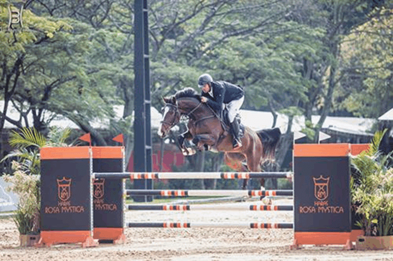 Criação nacional em foco, Grand Slam Mystic Rose Rose completa 50% com placar por uma vaga no Mundial de Cavalos Novos 2025; Circuito Nacional chegou à 4ª de 9 etapas