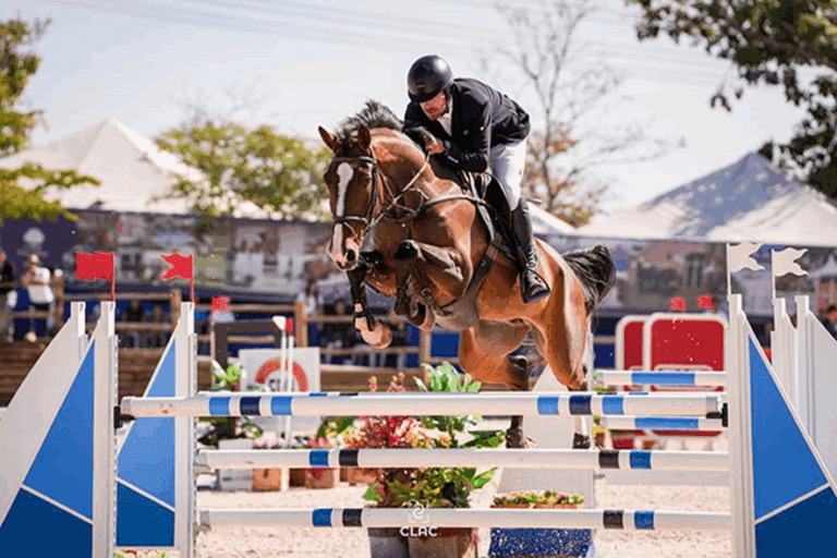 Nubalou da Cabana, 7 anos, Primmadona Flores, 6 anos, e Fiorella, 5 anos, são os campeões sul-americanos de Cavalos Novos 2025