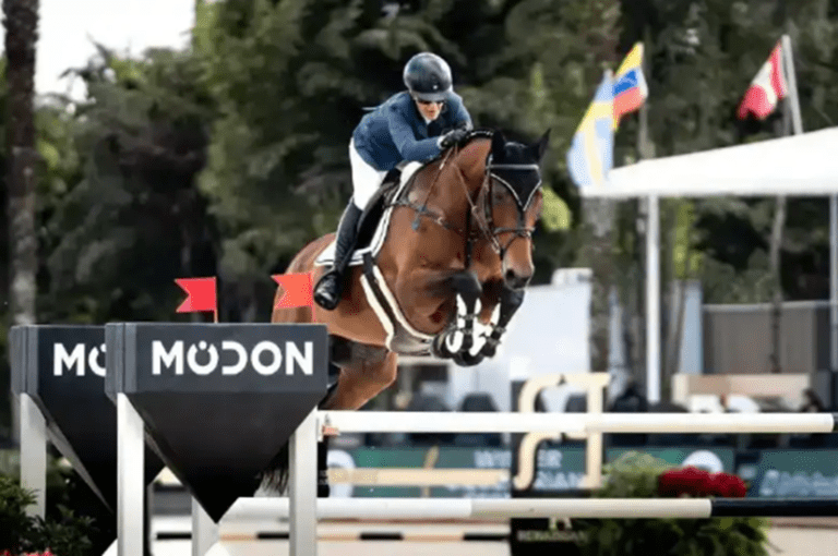 BH “Lady Louise Jmen” Vence o grande prrêmio Do Wef 3