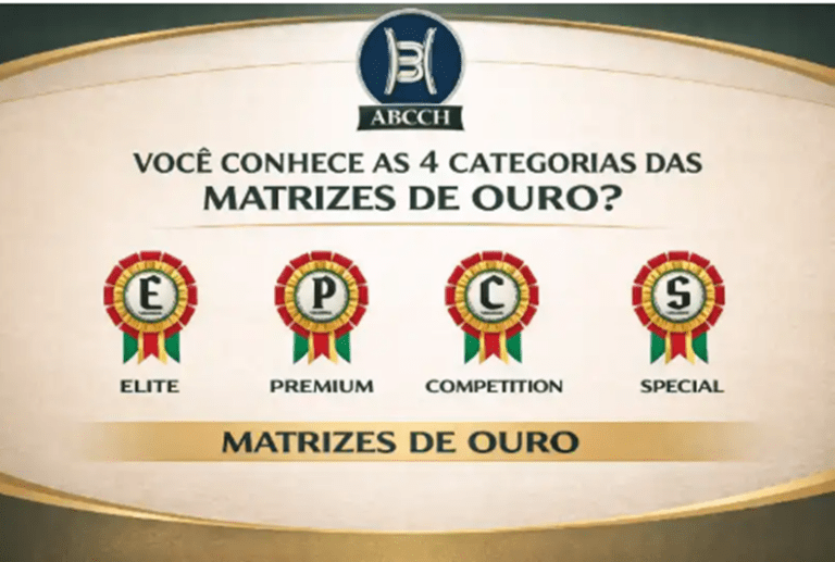 Você conhece o programa Matrizes de ouro ABCCH?