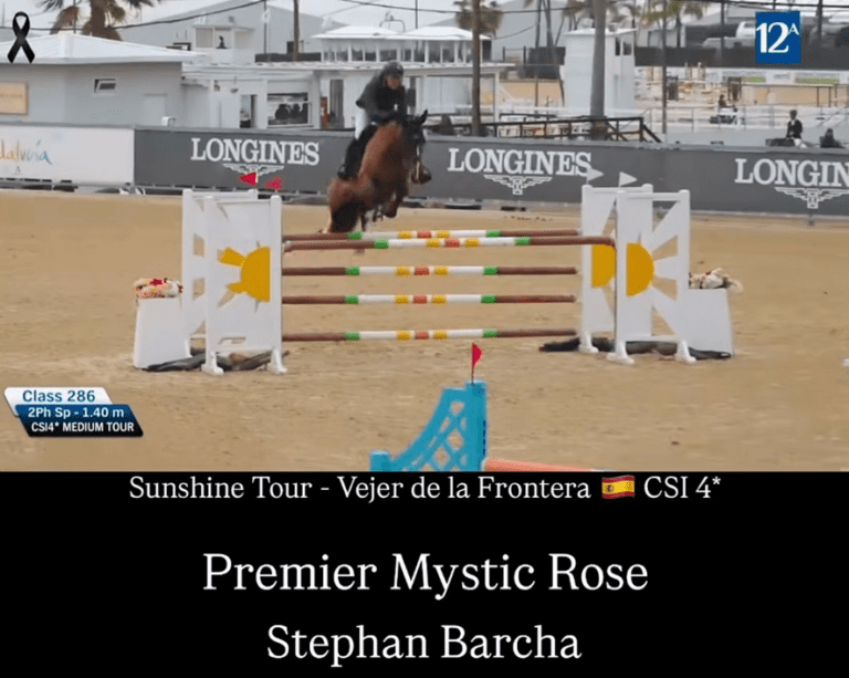 “PREMIER MYSTIC ROSE”, BH de 8 anos, mantém sequência de resultados na Espanha
