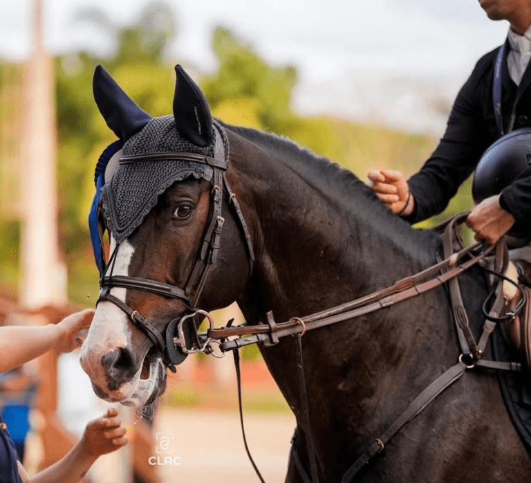 “RATZINGER JMEN” é o melhor BH do clássico 1,40/1,45m no csn2* XXXVIII torneio de verão